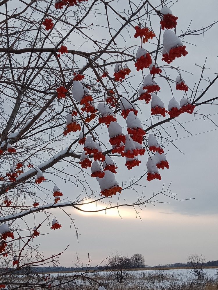 Photo #5585234