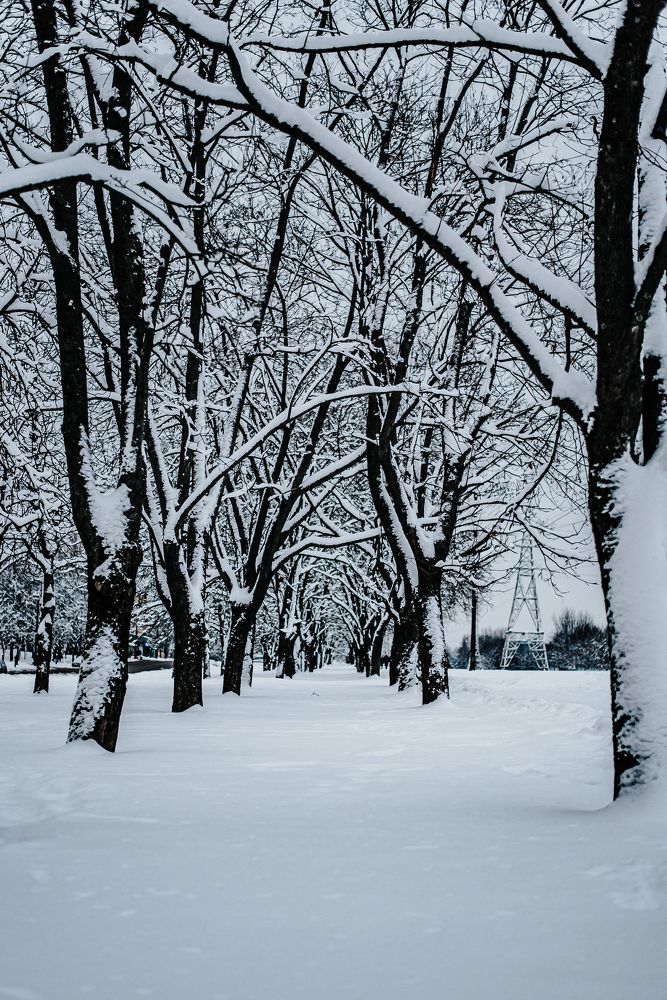 Photograph by Татьяна Мельник