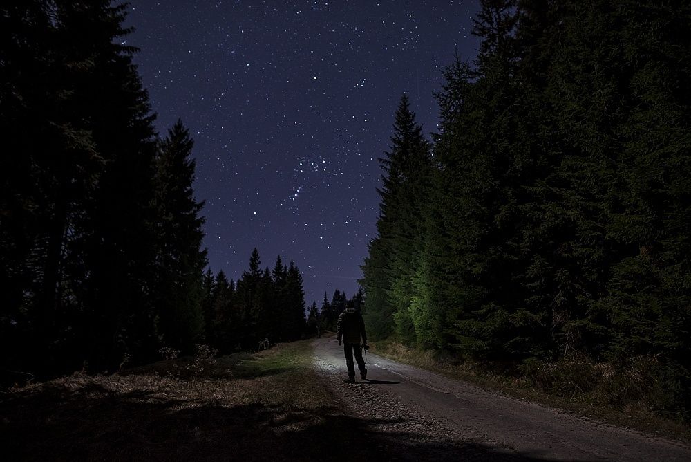 Photograph by Radim Ziman