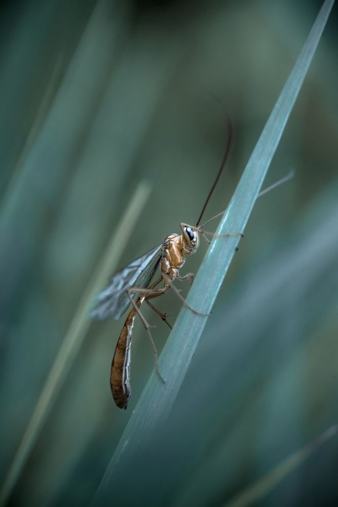 Фотография автора Dolli Pogrebnaya