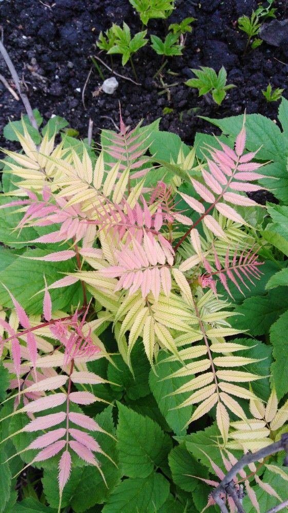 Photograph by Татьяна Ситникова