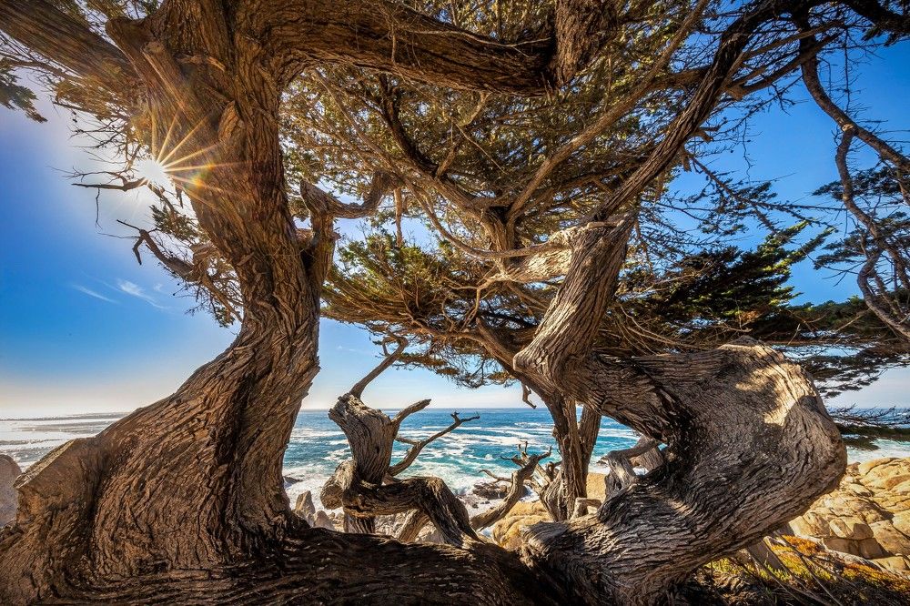 Фотография автора Aleksandr Dahov