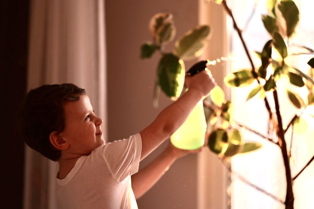 Photograph by Елена Комарова