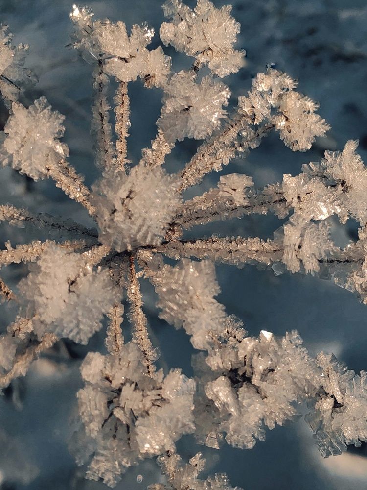 Photograph by Наталья Кошелева