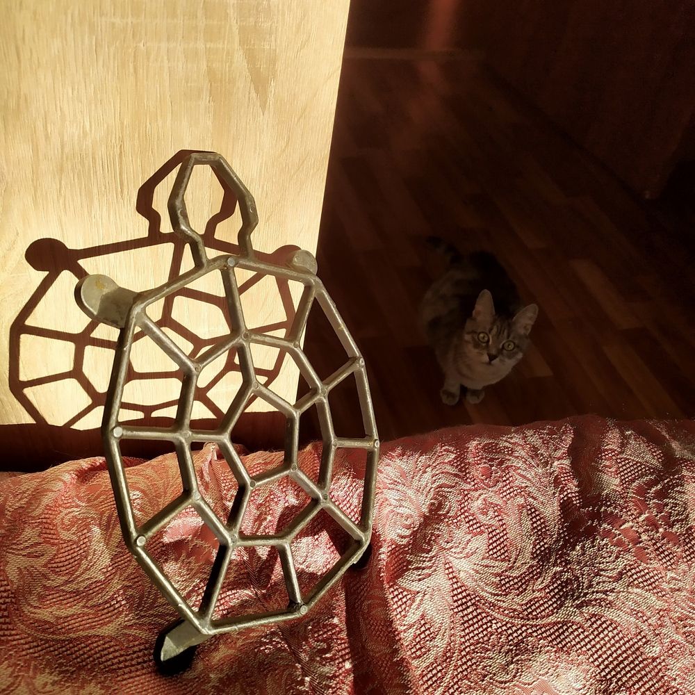 кошка и тень от подставки