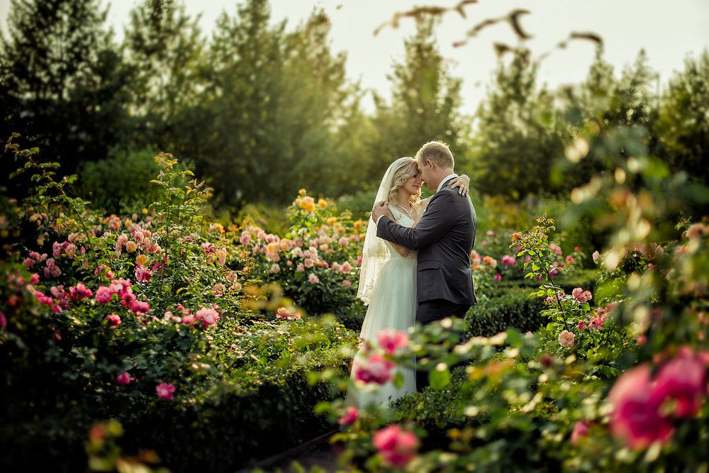 Photograph by Виктория Енина