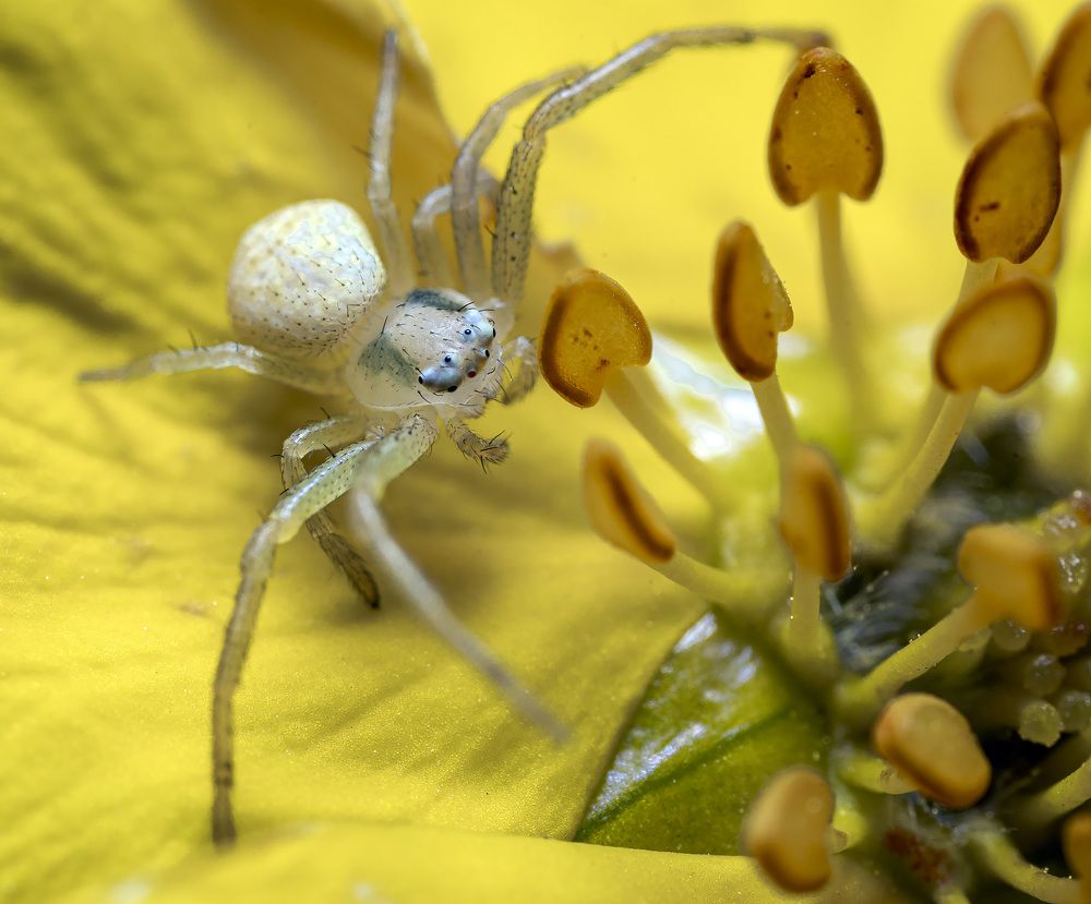 Photograph by Сергей Федоренко