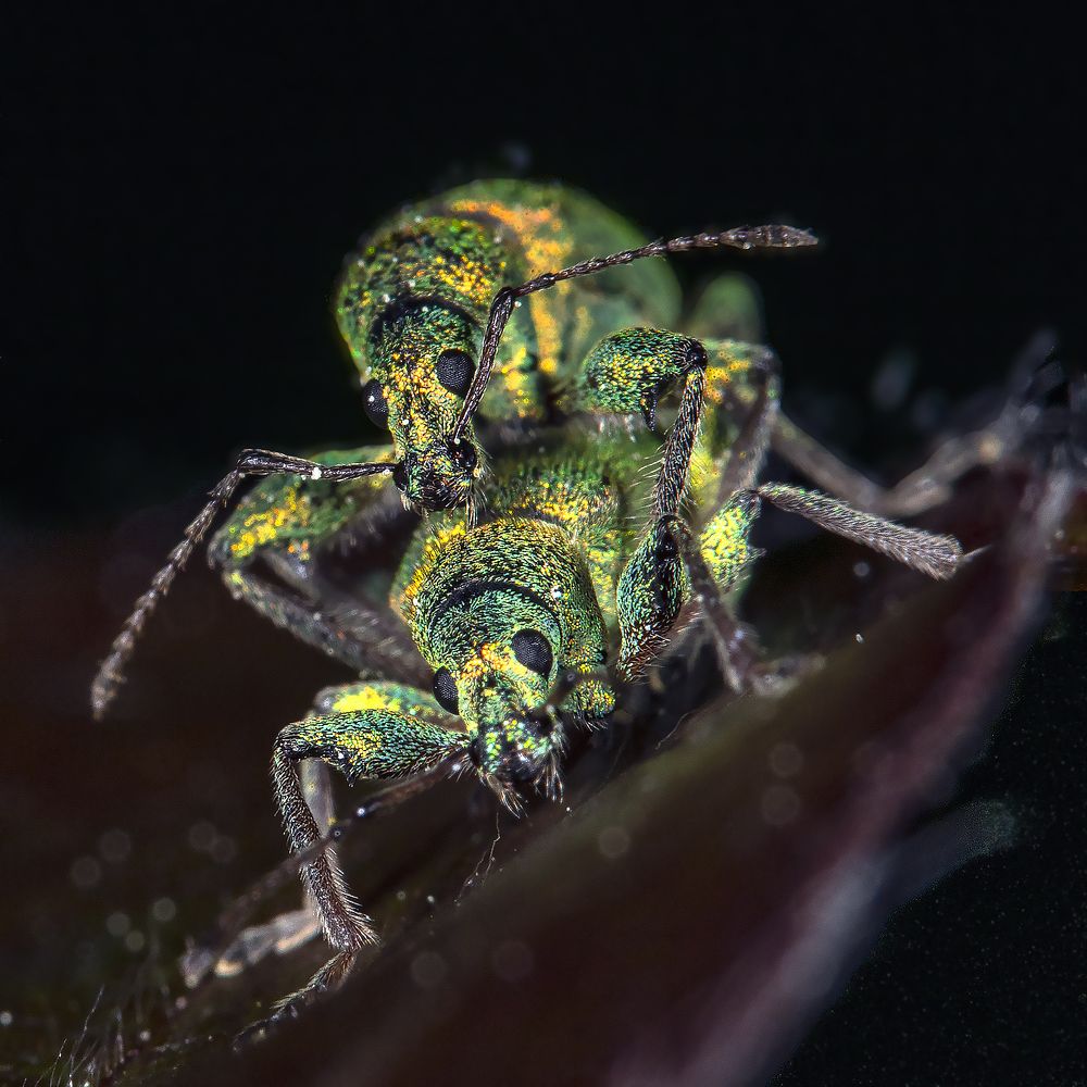 Photograph by Сергей Федоренко