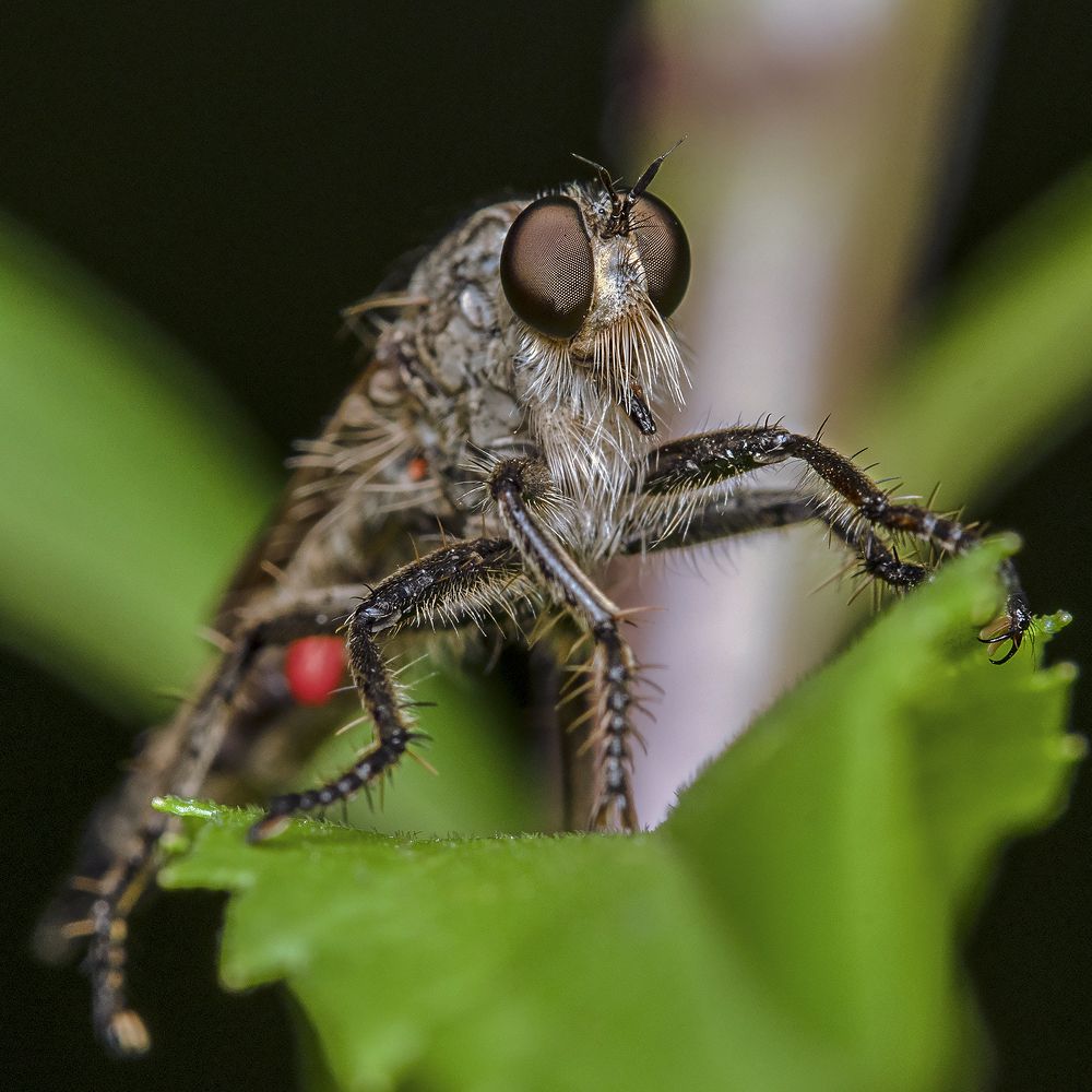 Photograph by Сергей Федоренко