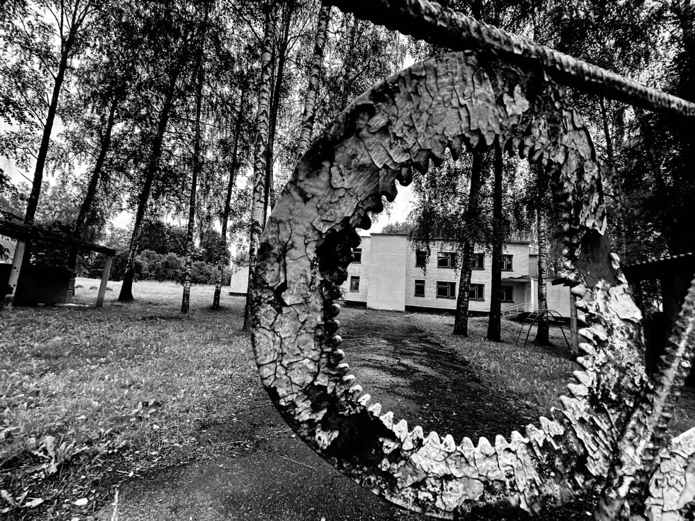 Photograph by Анастасия Матышева