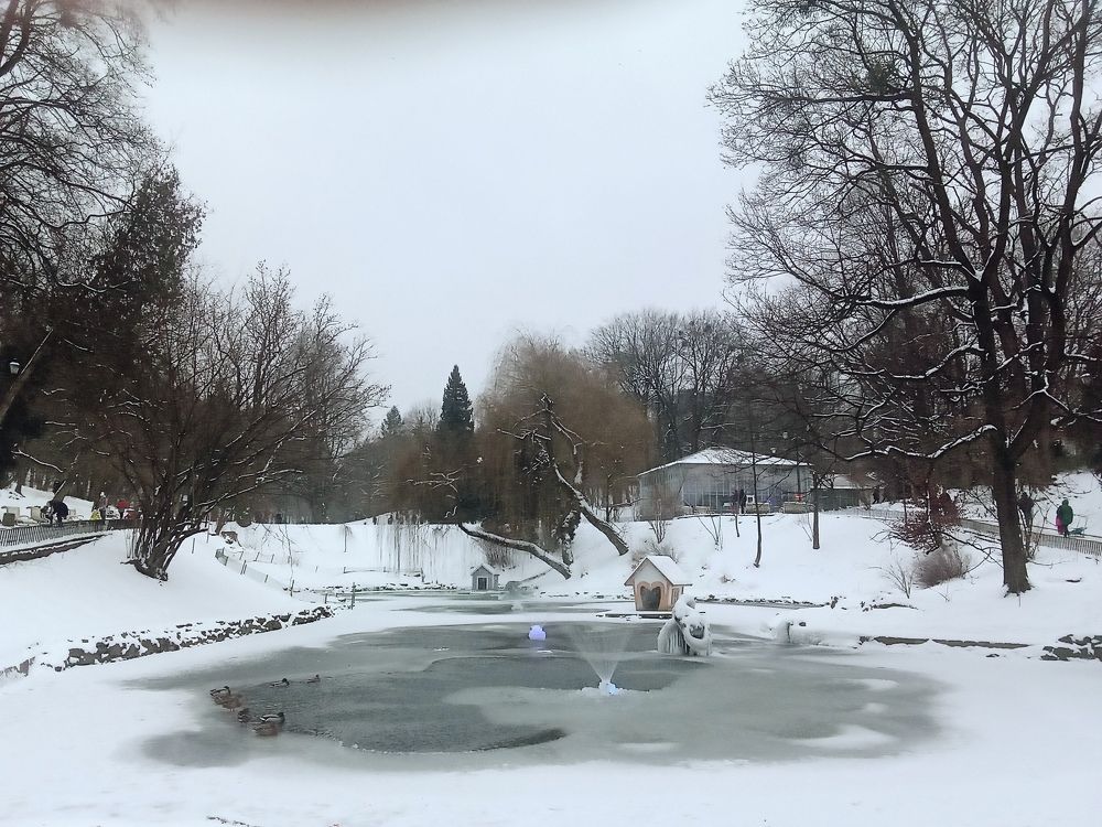 Photograph by Елена Шерман