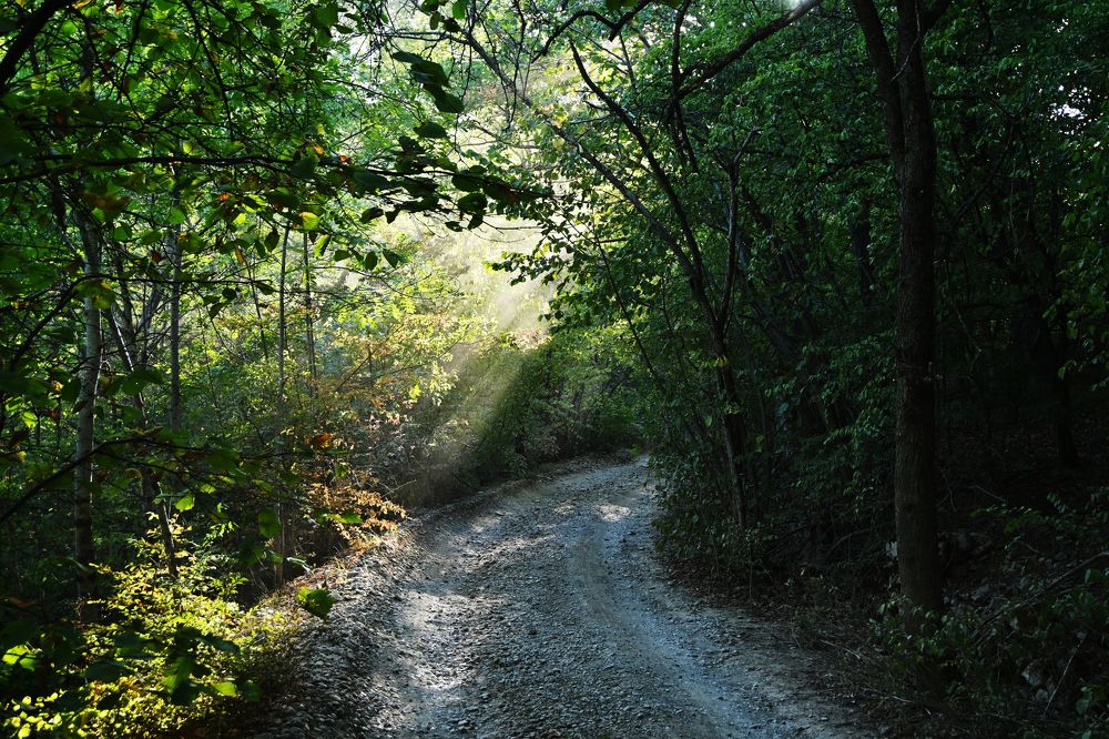 Photograph by Анастасия Долгова