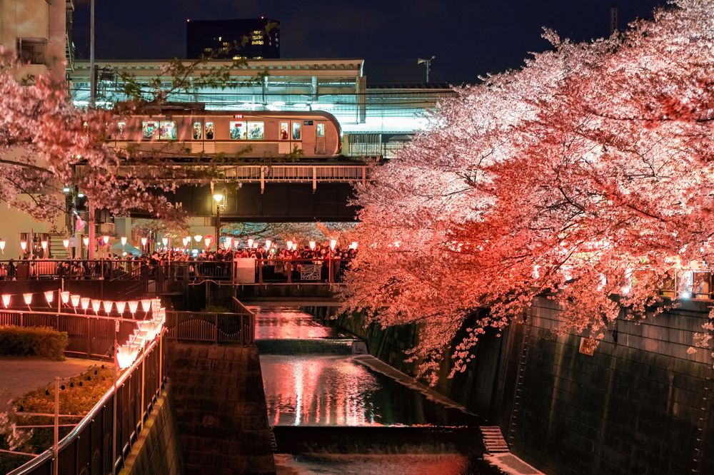 Photograph by Evgeny S