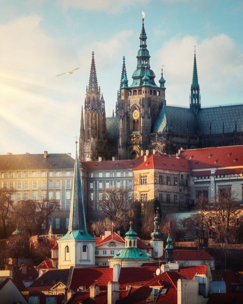 Photograph by Сергей Протасов