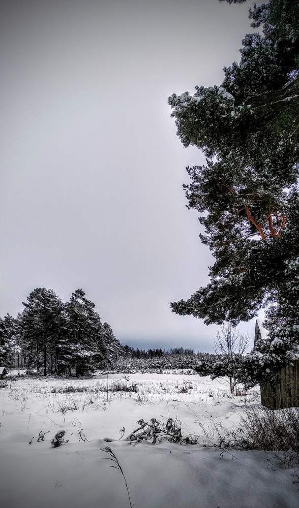 Photograph by Оля Попова