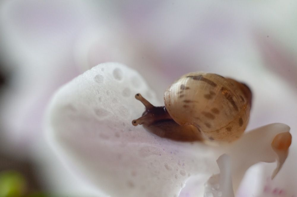 Photograph by Галина Сычева