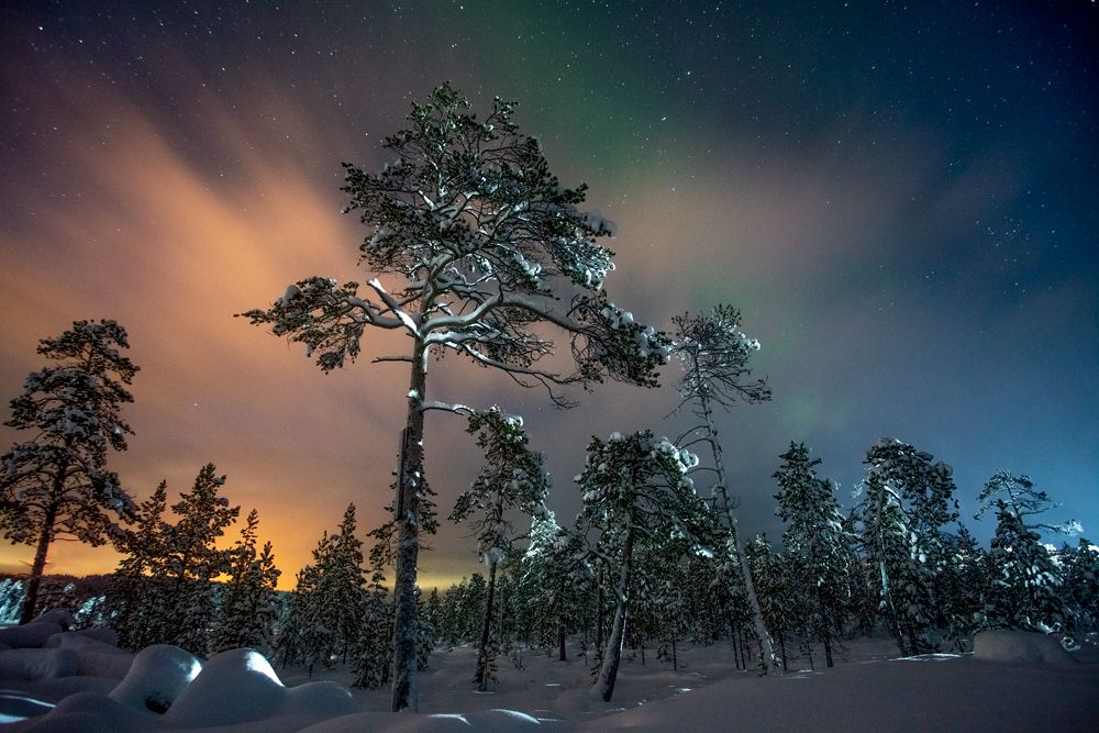 Photograph by Парамонов Григорий