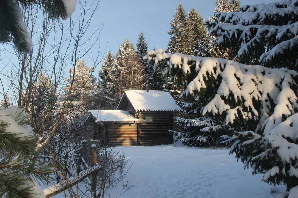 Photograph by Макарова Татьяна