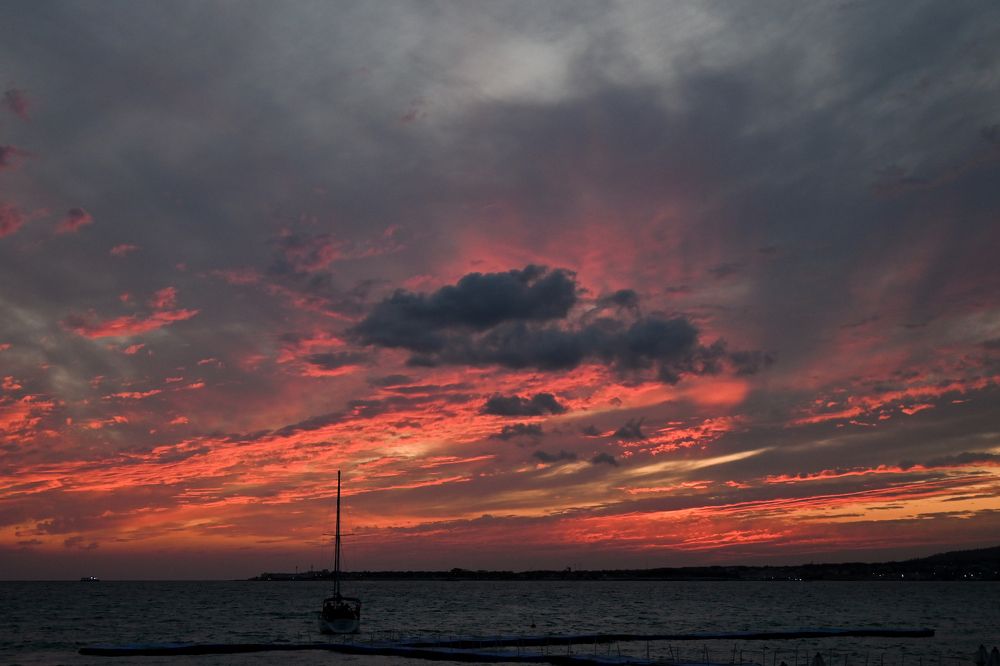 Photograph by Анастасия Долгова