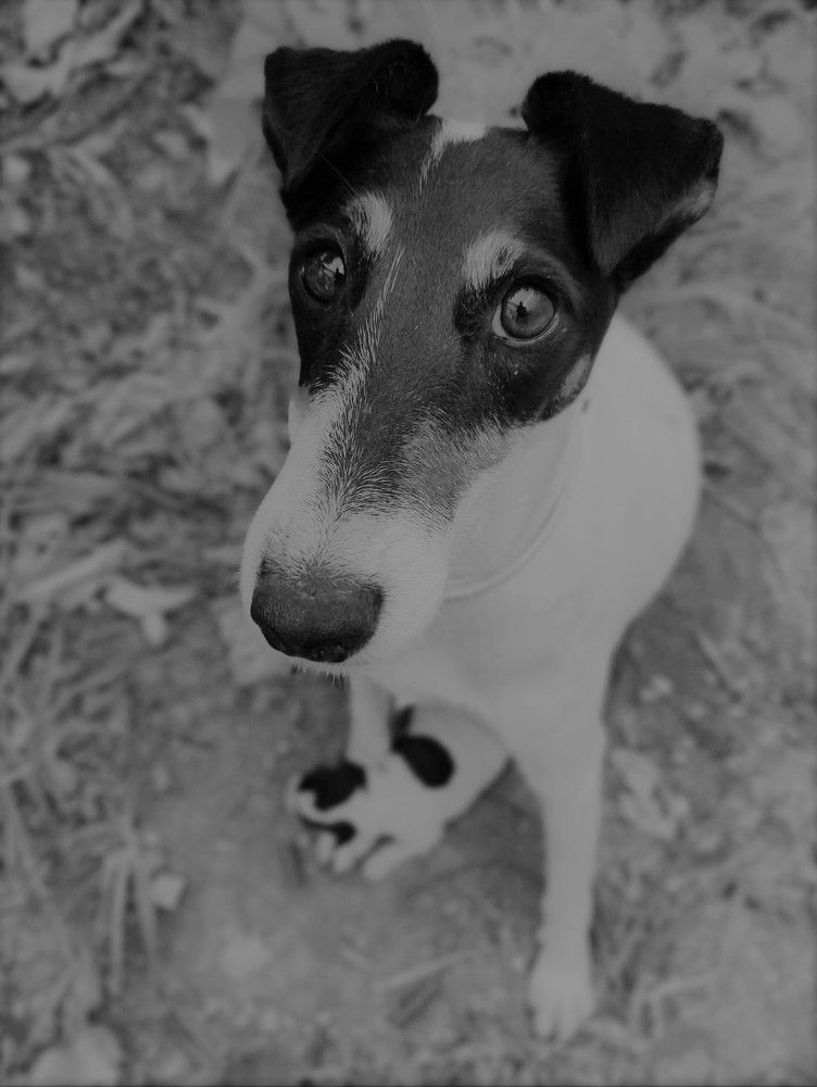 The Message Behind Those Eyes