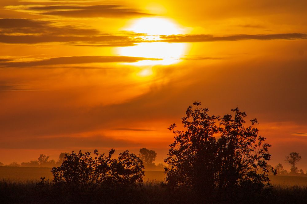 Звезда по имени солнце