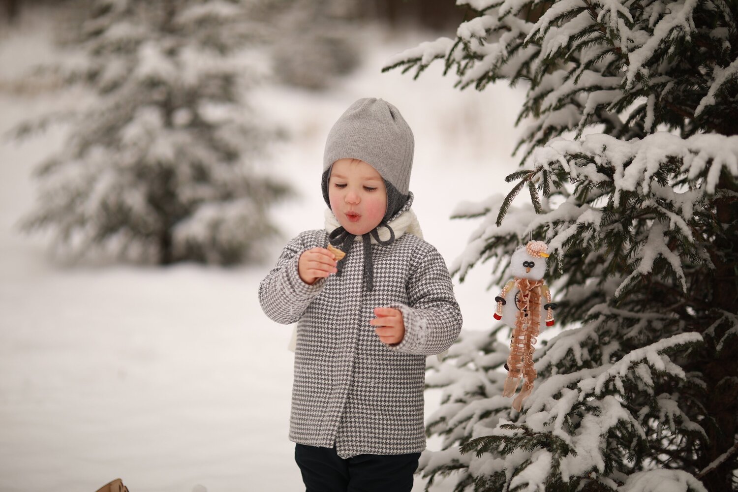 Photo #5586036