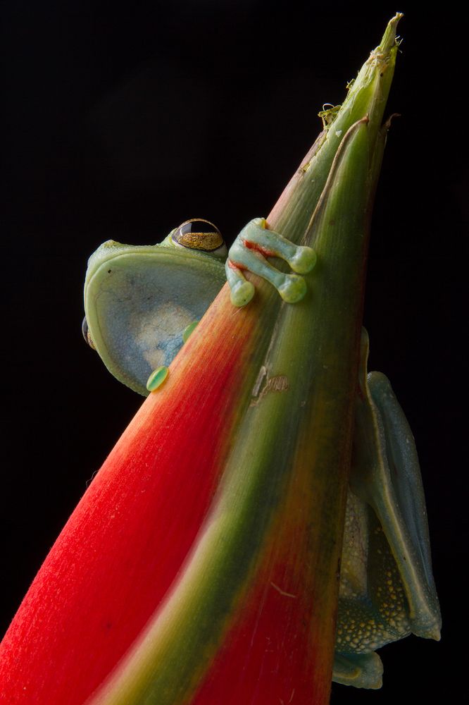 Photograph by Azaria Ruiz Villalobos