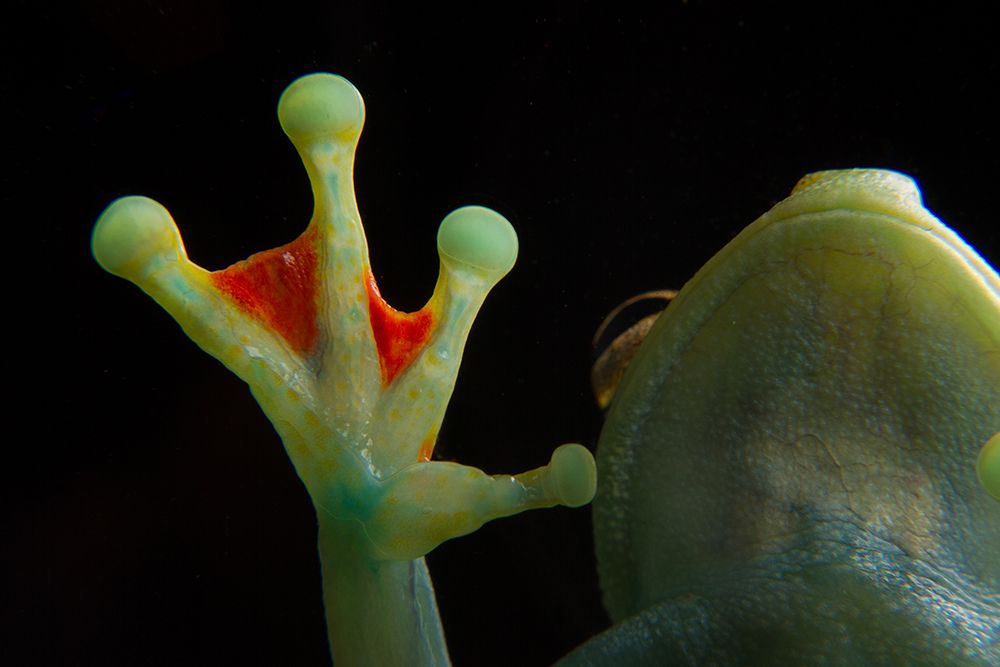 Photograph by Azaria Ruiz Villalobos