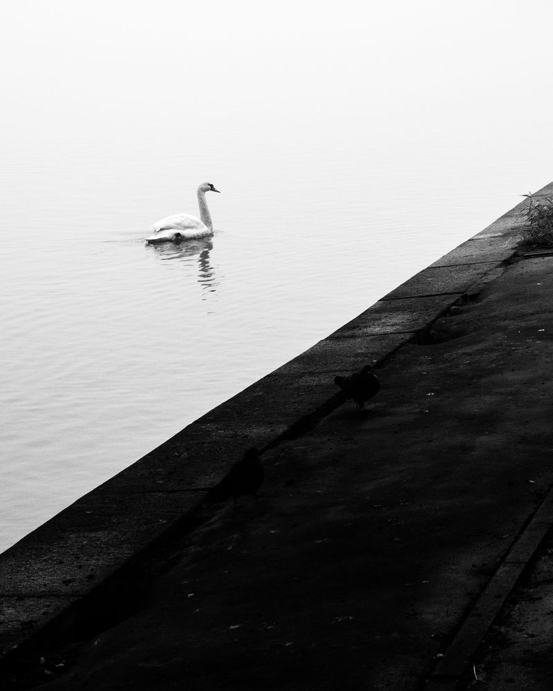 Photograph by Ruslan Pryimak