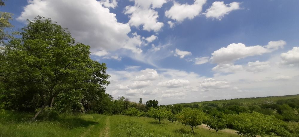 Фотография автора Stevo Dragić