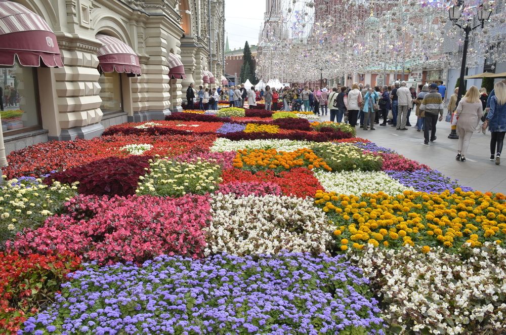 Фотография автора Stevo Dragić