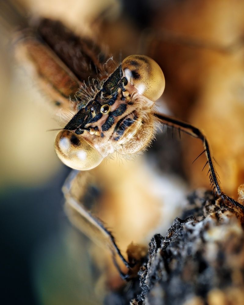 Photograph by Роман Фадеев