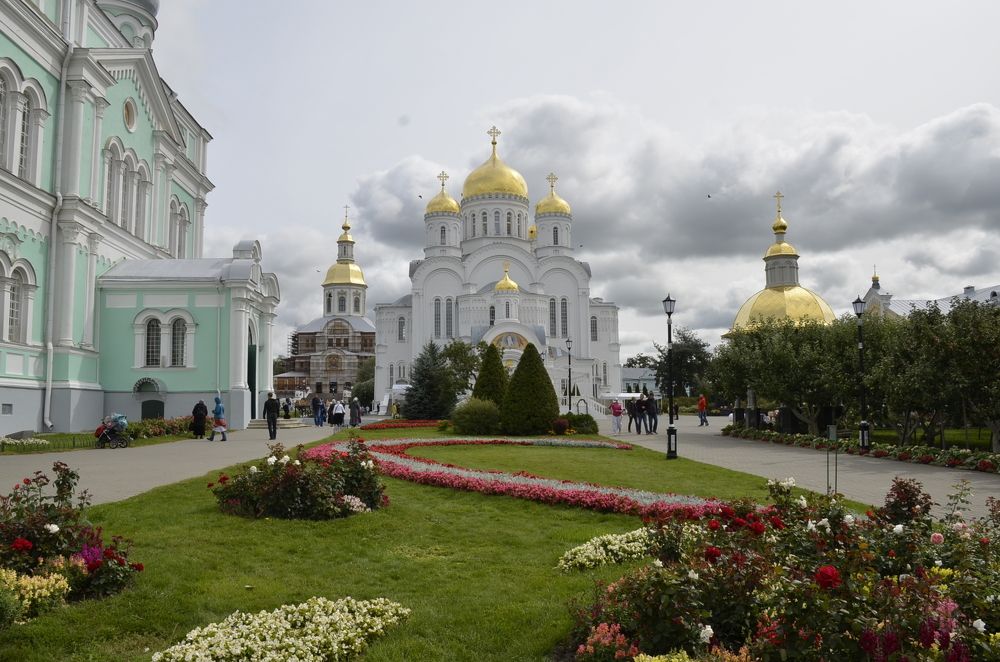 Фотография автора Stevo Dragić