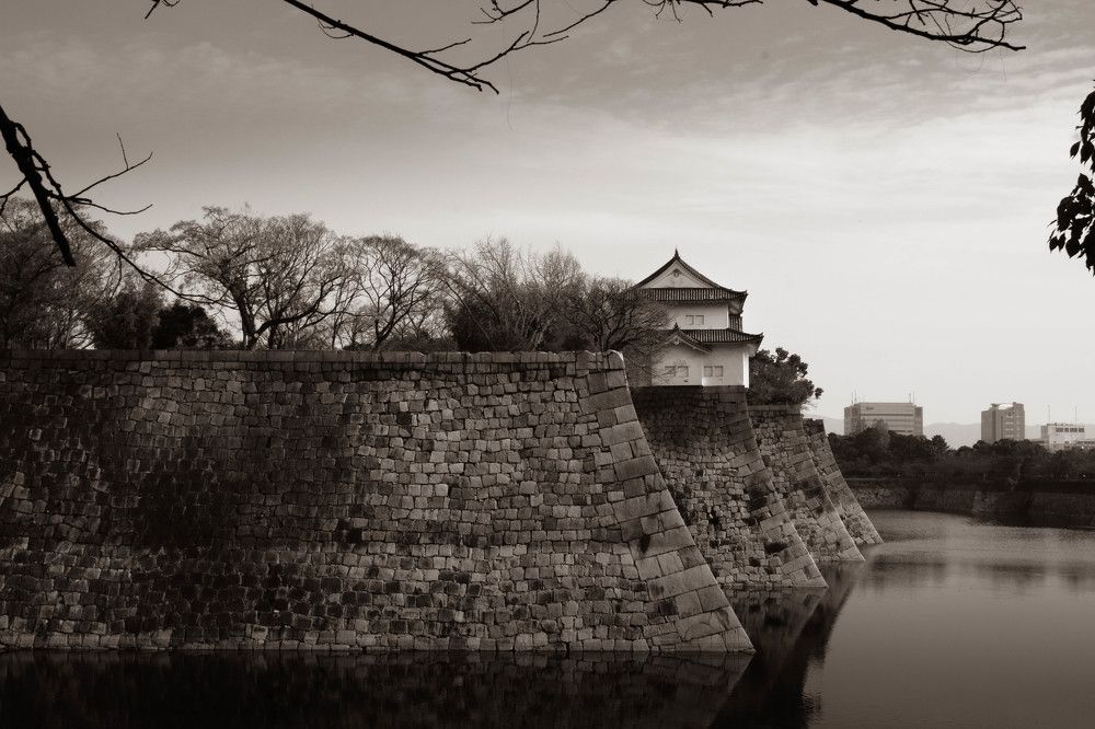 Photograph by Fernandes Felipe