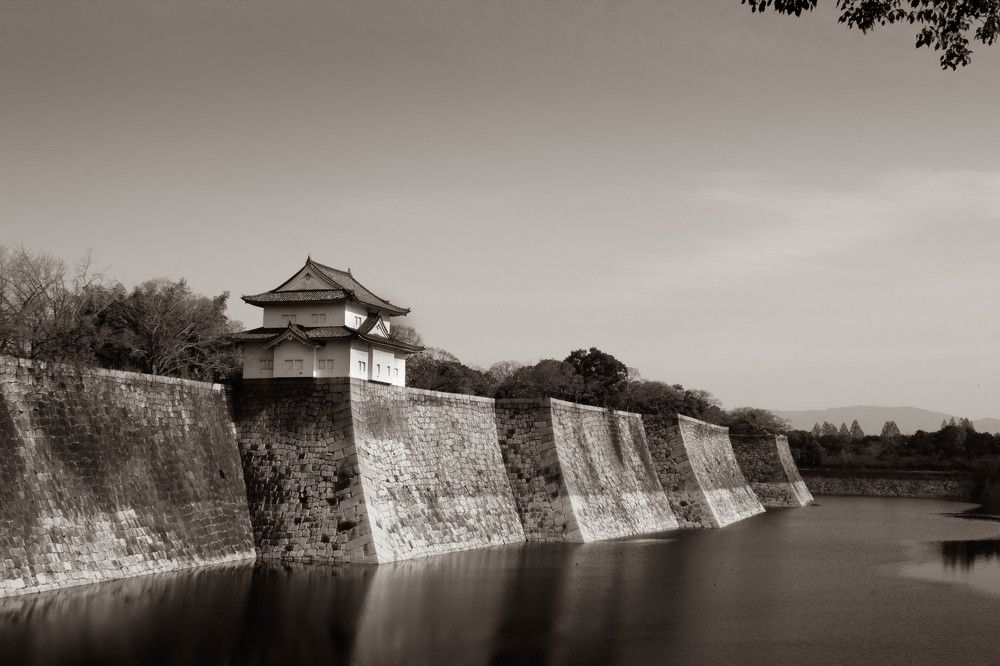 Photograph by Fernandes Felipe