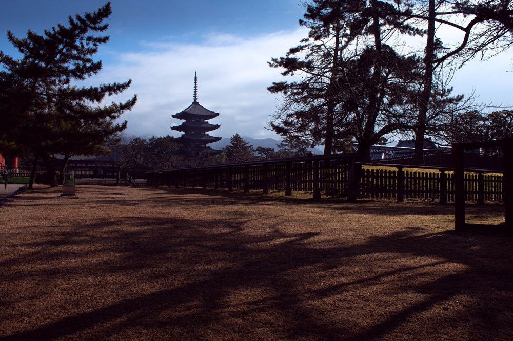 Photograph by Fernandes Felipe