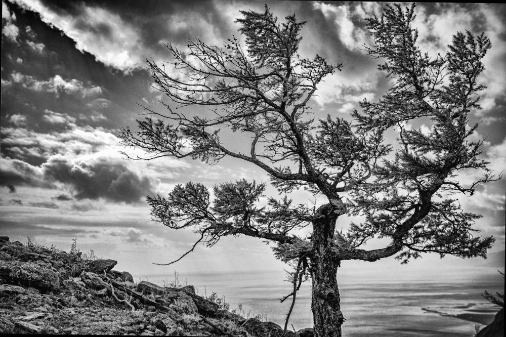 Photograph by Ярослав Маковецкий