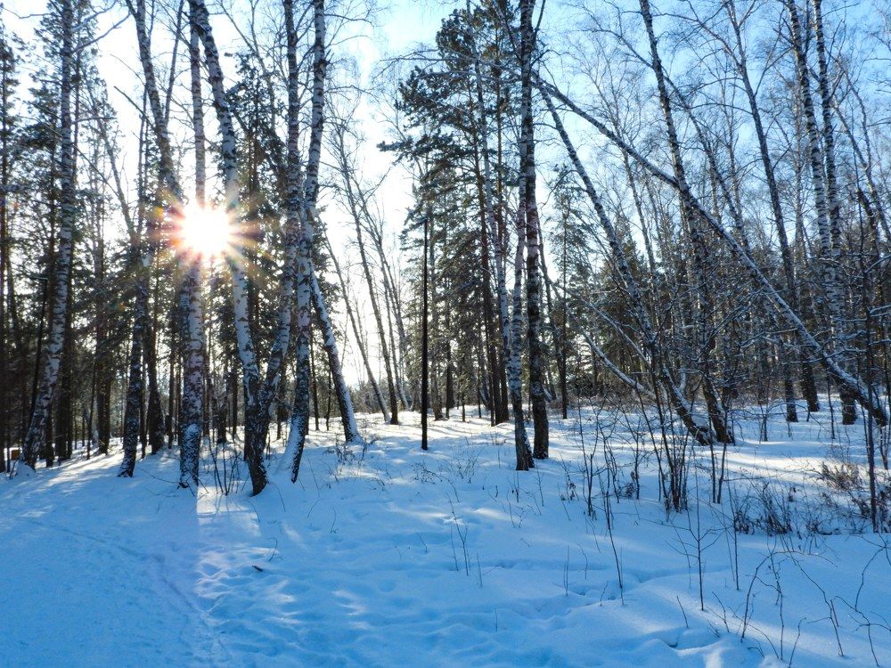 Photograph by Наталья Муравьёва