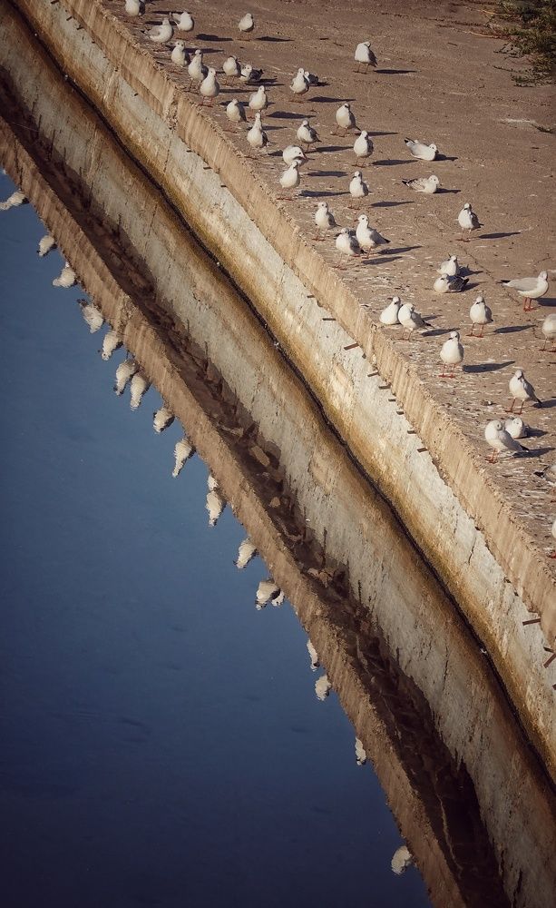 Photograph by Ксения Горленко