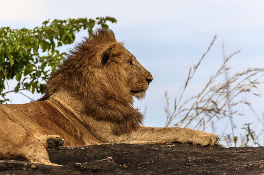 Photograph by Ricardo Núñez Montero