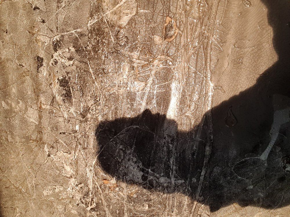 Shadow in lockdown (2020)