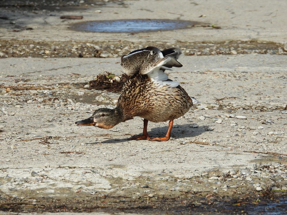 Photograph by Наталья Муравьёва