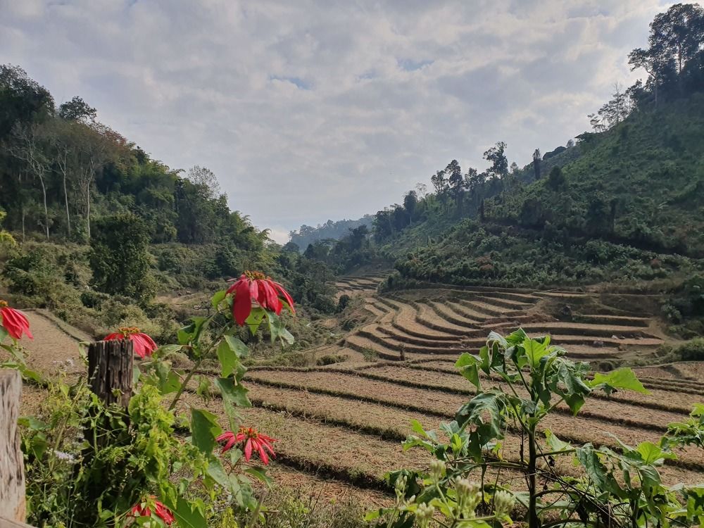 In the middle of the mountains. Thailand (2019)