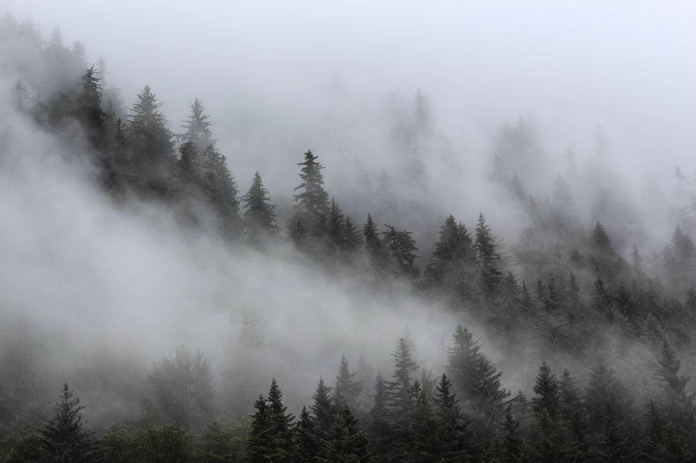 Photo #5586624