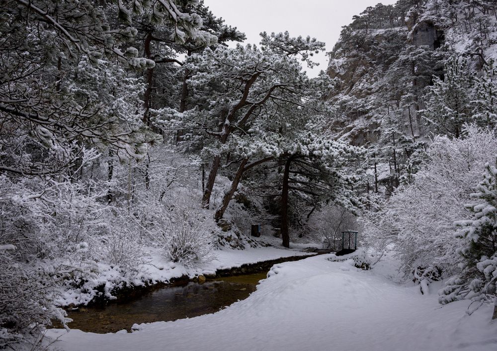Photograph by Сергей Будаква