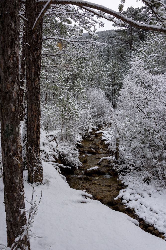 Photograph by Сергей Будаква