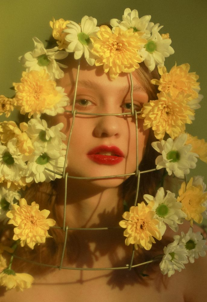 Photograph by Alexandra Knox