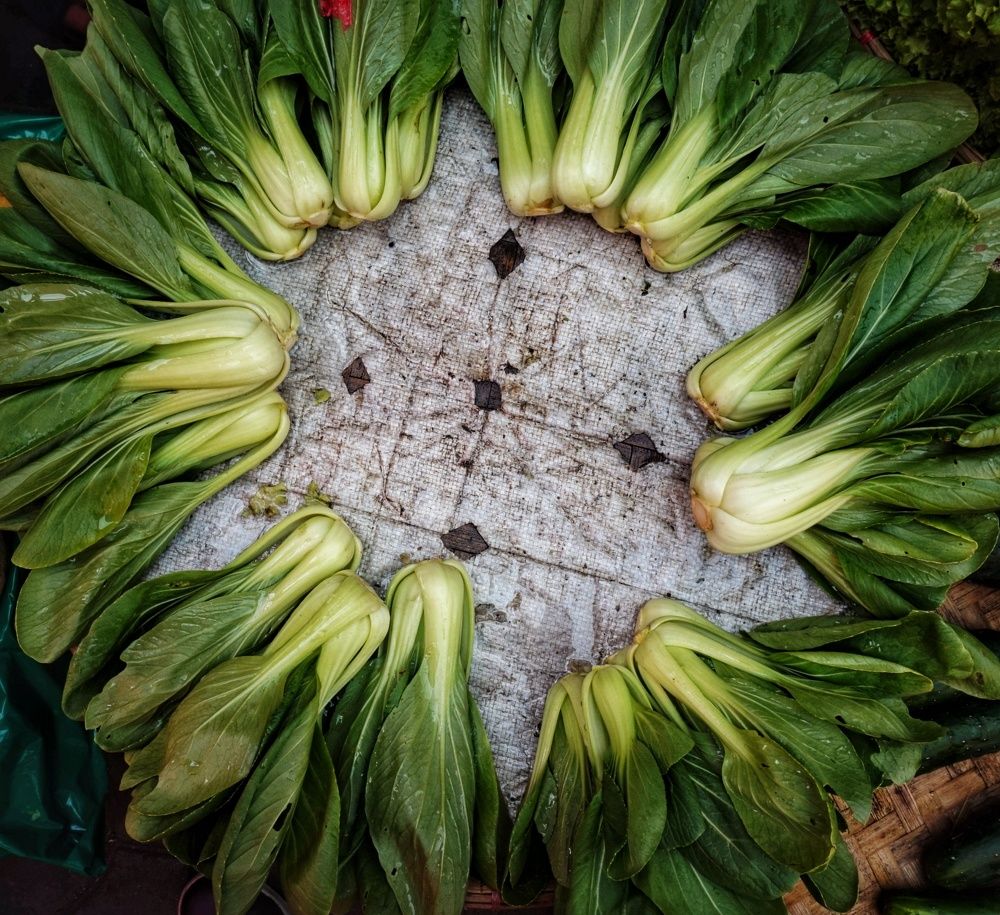 Photograph by Alexander Villegas