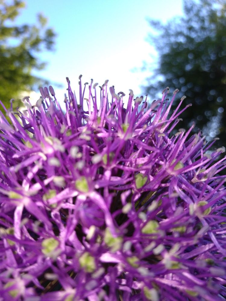 Photo #5586746