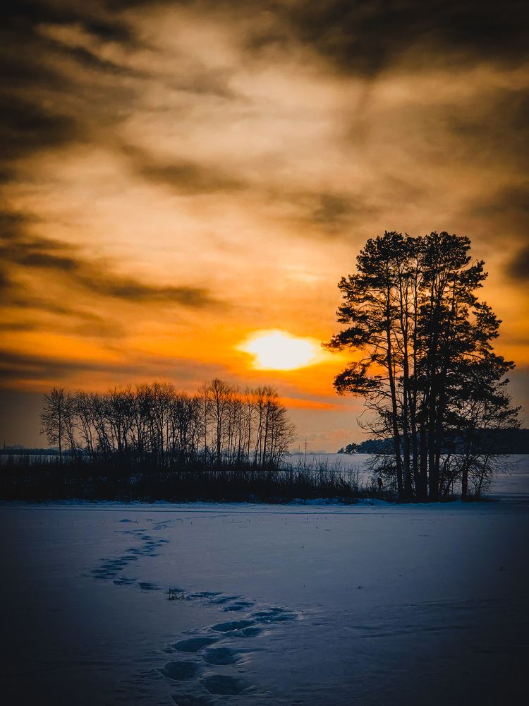 Photograph by Елена Башмакова